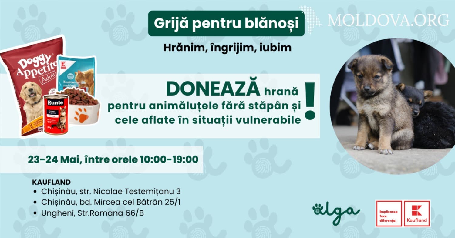 Grijă pentru blănoși: donează hrană pentru animalele fără adăpost pe 23 și 24 mai, în magazinele Kaufland